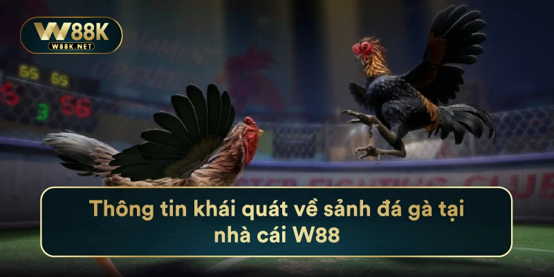 Cẩm Nang Chinh Phục Đá Gà Trực Tuyến Đỉnh Nhất Mọi Thời Đại 2 Thông tin khái quát về sảnh đá gà tại nhà cái W88